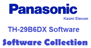 Panasonic Th 29B6Dx F