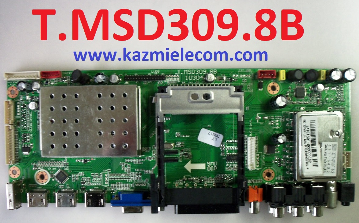 T.msd309.8B