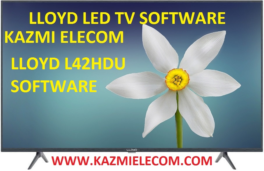 Lloyd L42Hdu